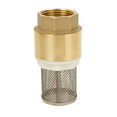 VÁLVULA CHECK 2 PLG C/FILTRO FIJO1