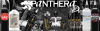 collection panthera
