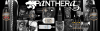 collection panthera