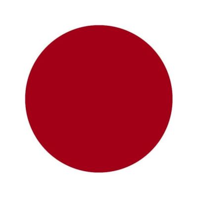 TINTA INTENZE BRIGHT RED TINTA INTENZE BRIGHT RED