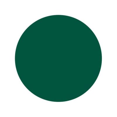 TINTA INTENZE HUNTER GREEN TINTA INTENZE HUNTER GREEN