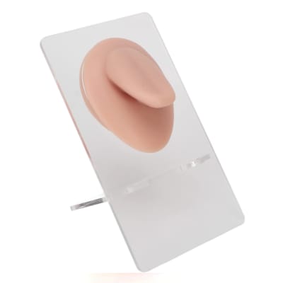 LENGUA DE SILICONA