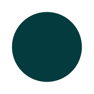 TINTA INTENZE MIDNIGHT GREEN TINTA INTENZE MIDNIGHT GREEN