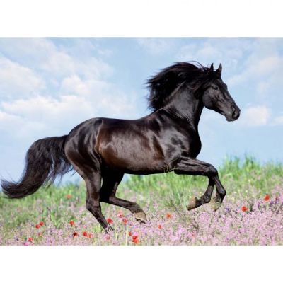 PUZZLE CABALLO NEGRO XXL 200 PIEZAS PUZZLE CABALLO NEGRO XXL 200 PIEZAS
