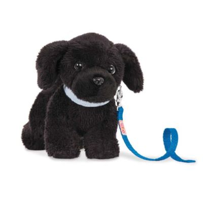 CACHORRO NEWFOUNDLAND CACHORRO NEWFOUNDLAND