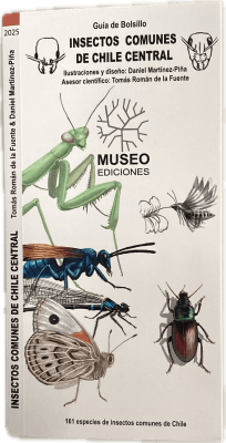 Guías Colección Insectos