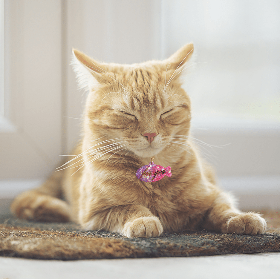 MOLDE DE SILICONA COLGANTES MASCOTAS (C273)3