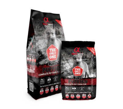 alpha spirit puppies1