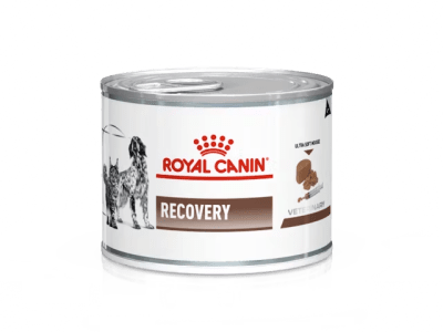 royal lata recovery 145g1