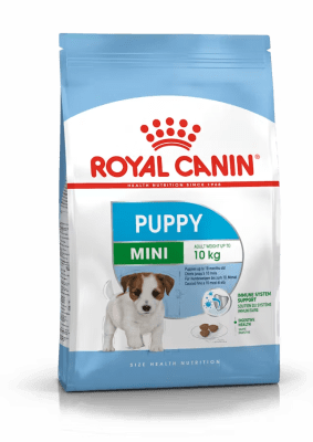 royal mini puppy1