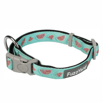 fuzzyard collar summer punch1