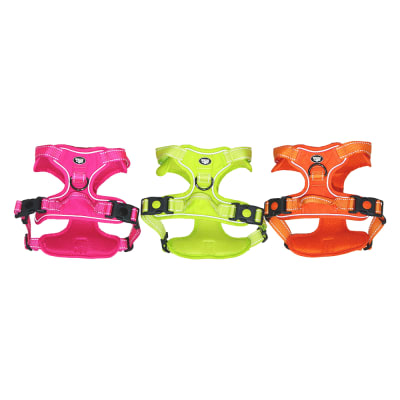 mascan arnes deportivo4