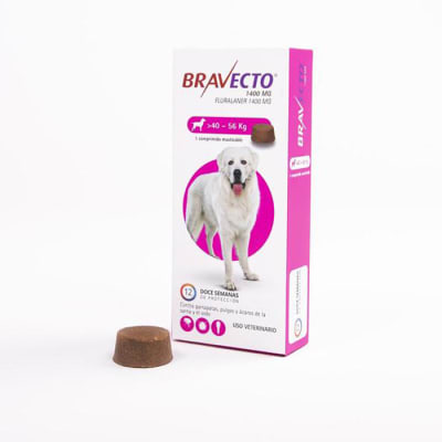 bravecto 40 a 56kg1