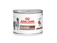 royal lata recovery 145g