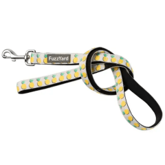 fuzzyard lead