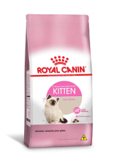 royal cat kitten