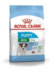 royal mini puppy