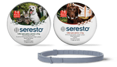 seresto collar