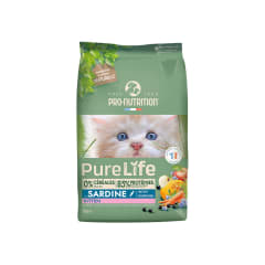 pure life cat kitten sardine