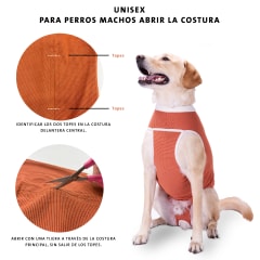 body cobre tradicional