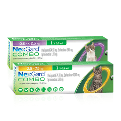 nexgard combo gato
