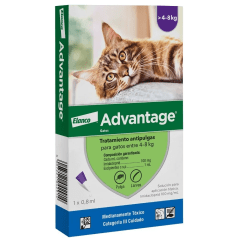 advantage gato 4 a 8kg
