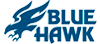 BLUE HAWK