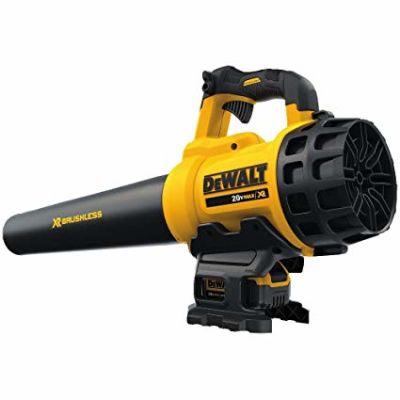 SET SOPLADOR + PODADOR DEWALT 20V2