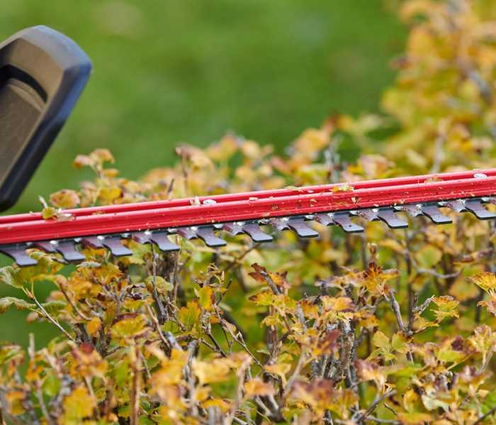 CORTASETOS INALAMBRICO 60V TORO 518405