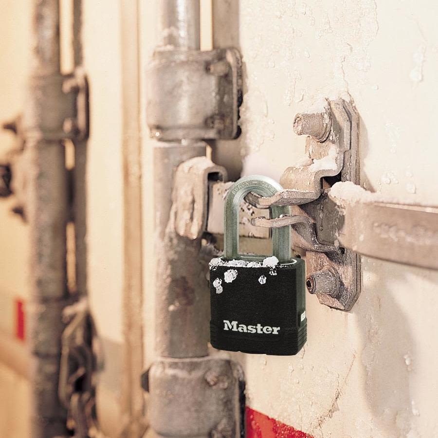 PACK 4 CANDADOS CON GOMA MASTER LOCK M115XQLF5