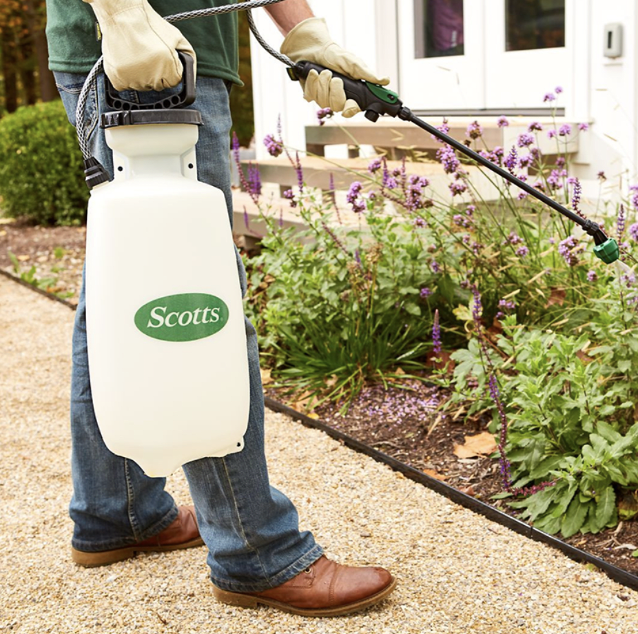 SET 2 FUMIGADORES SCOTTS 1905393