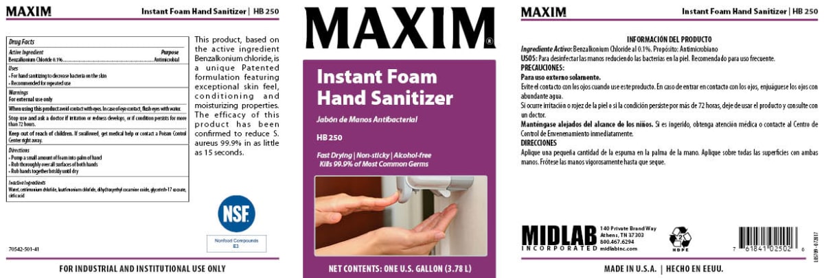 ESPUMA SANITIZANTE MAXIM 3.8 LTS2