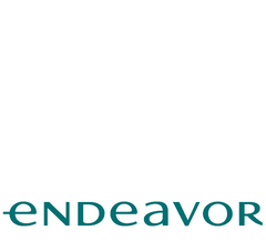 Logo de Endeavor Perú