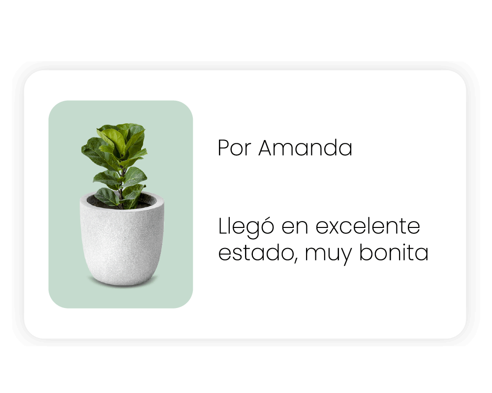 Reseñas de productos