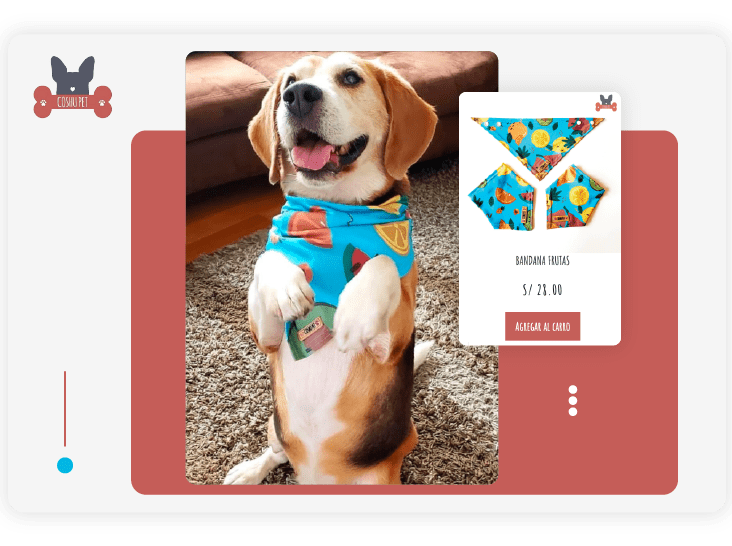 Casos-de-éxito-Bsale