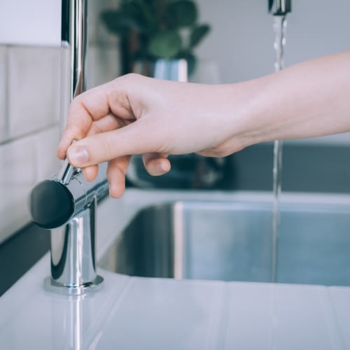 ¿Cómo la escasez del agua afecta a los negocios?