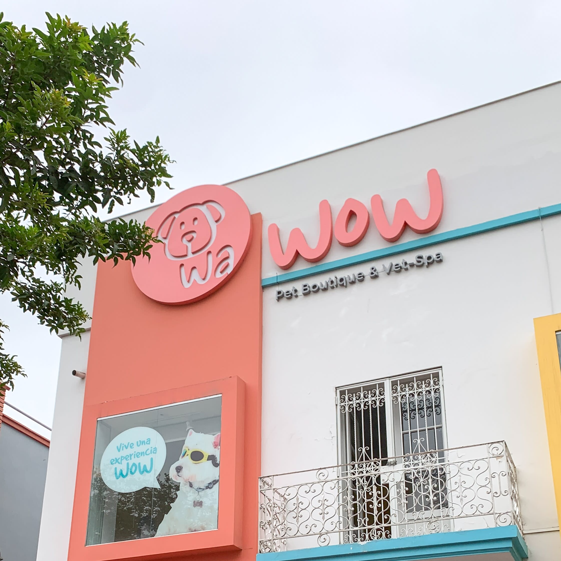 Cómo Bsale ayudó a Wawow, petshop y consultorio veterinario con su control de inventario