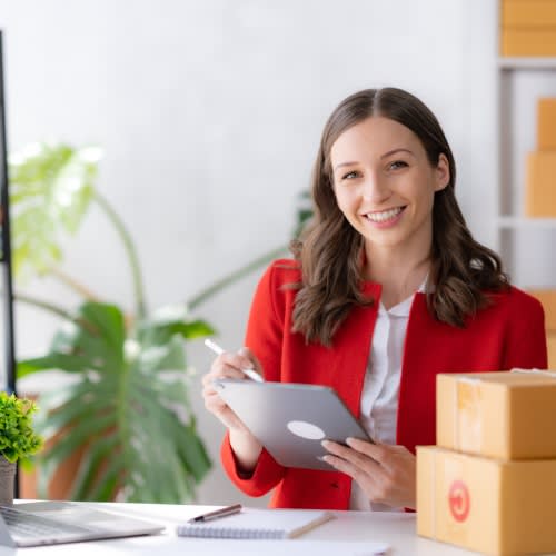 Gestiona fácilmente tus cobros en línea con Bsale y Flow