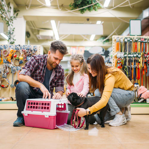 Cómo Hacer Crecer Tu Negocio: Edición Petshop