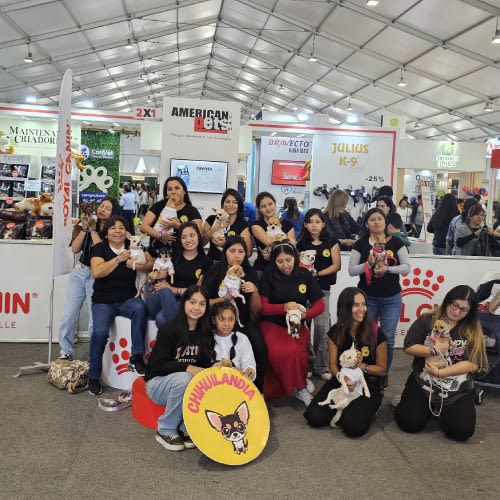 Calendario de ferias para emprendedores en el 2025