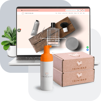 Bsale Plan Ecommerce