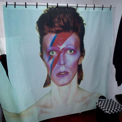 Cortina de Baño Aladdin Sane1