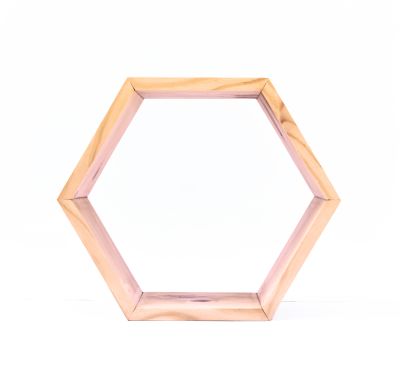 Hexágono Simple Hexágono Simple
