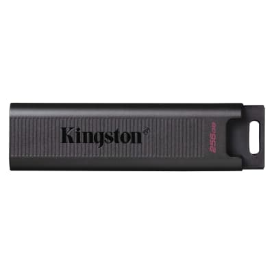 KINGSTON DATATRAVELER MAX USB TYPE-C 256GB1