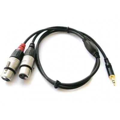 Cable Rean 2xlr/F-mini plug stereo 0.9mt
