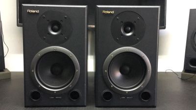 Roland DS-90A (par) - Monitores de Estudio3
