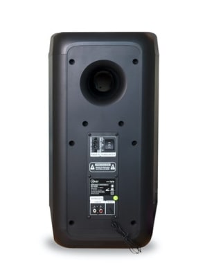 PARLANTE MLAB ALL IN ONE BIG BASS 8 PARLANTE MLAB ALL IN ONE BIG BASS 8