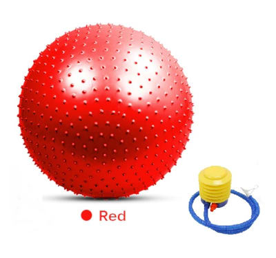 BALON PILATES ERIZO 65 CM CON BOMBIN3