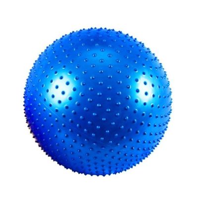 BALON ERIZO 65 CM1