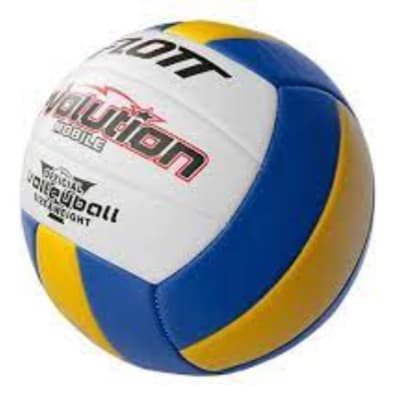 BALON DE VOLEIBOL FLOTT EVOLUTION N° 5 PVC COCIDO BALON DE VOLEIBOL FLOTT EVOLUTION N° 5 PVC COCIDO